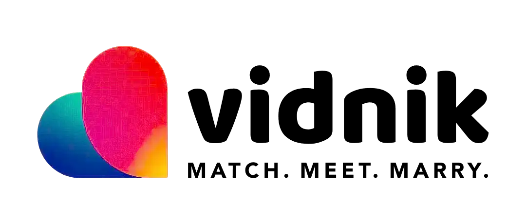 Vidnik Group